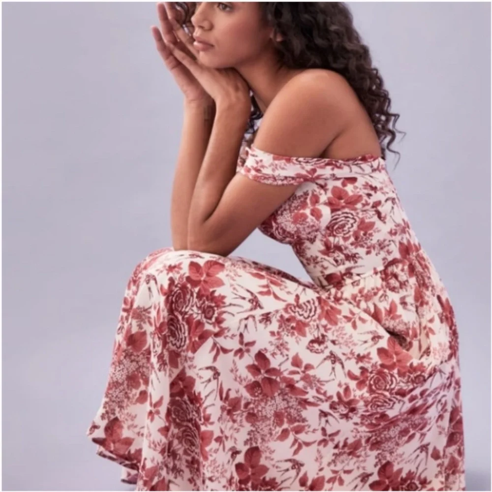 Reformation Violet Toile De Jouy Midi Dress 2 NWOT - Picture 2 of 11